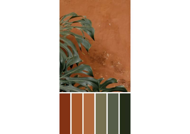 tendances couleurs 2024